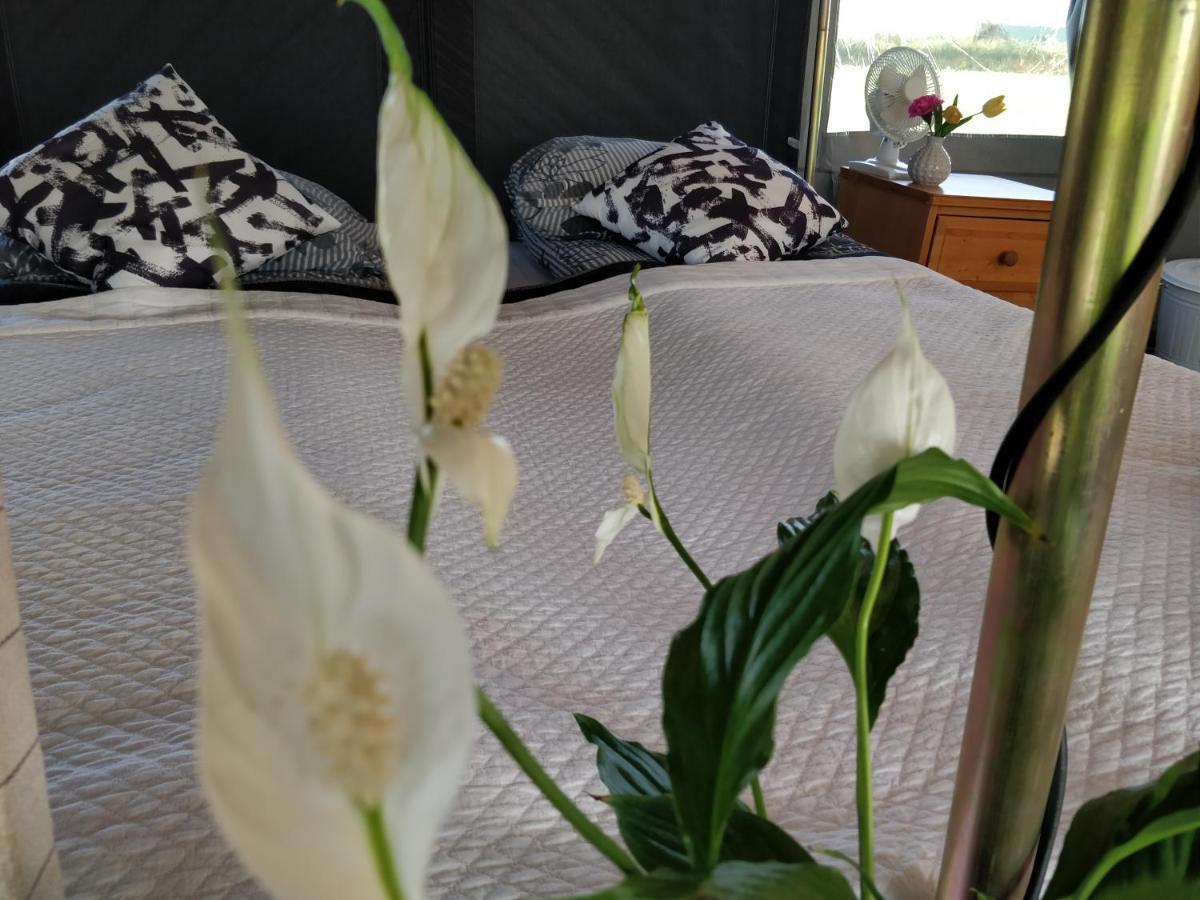 Godaland Guesthouse&Glamping Hlitharendi Eksteriør billede